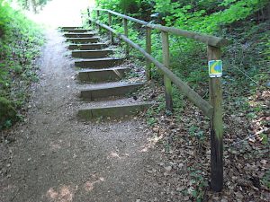 Eine Treppe führt im Wald steil hinauf.